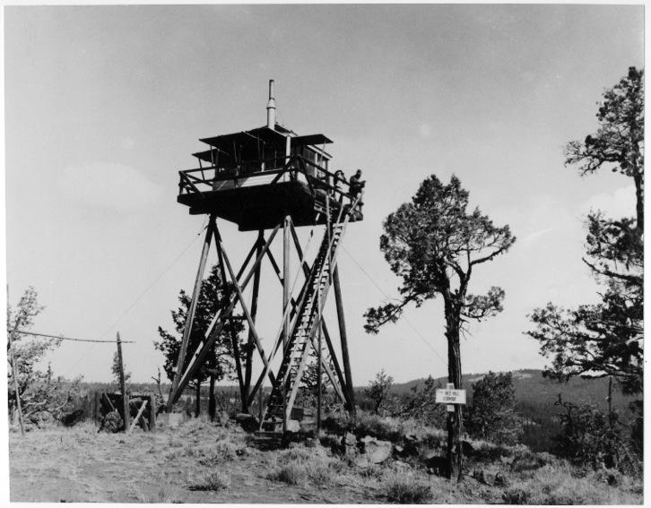 Forestry Fire Lookout Tower Plans - George and Willy