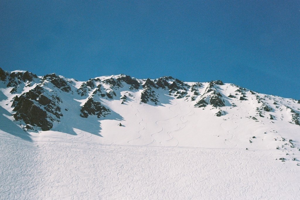 South Island Club Fields - George and Willy