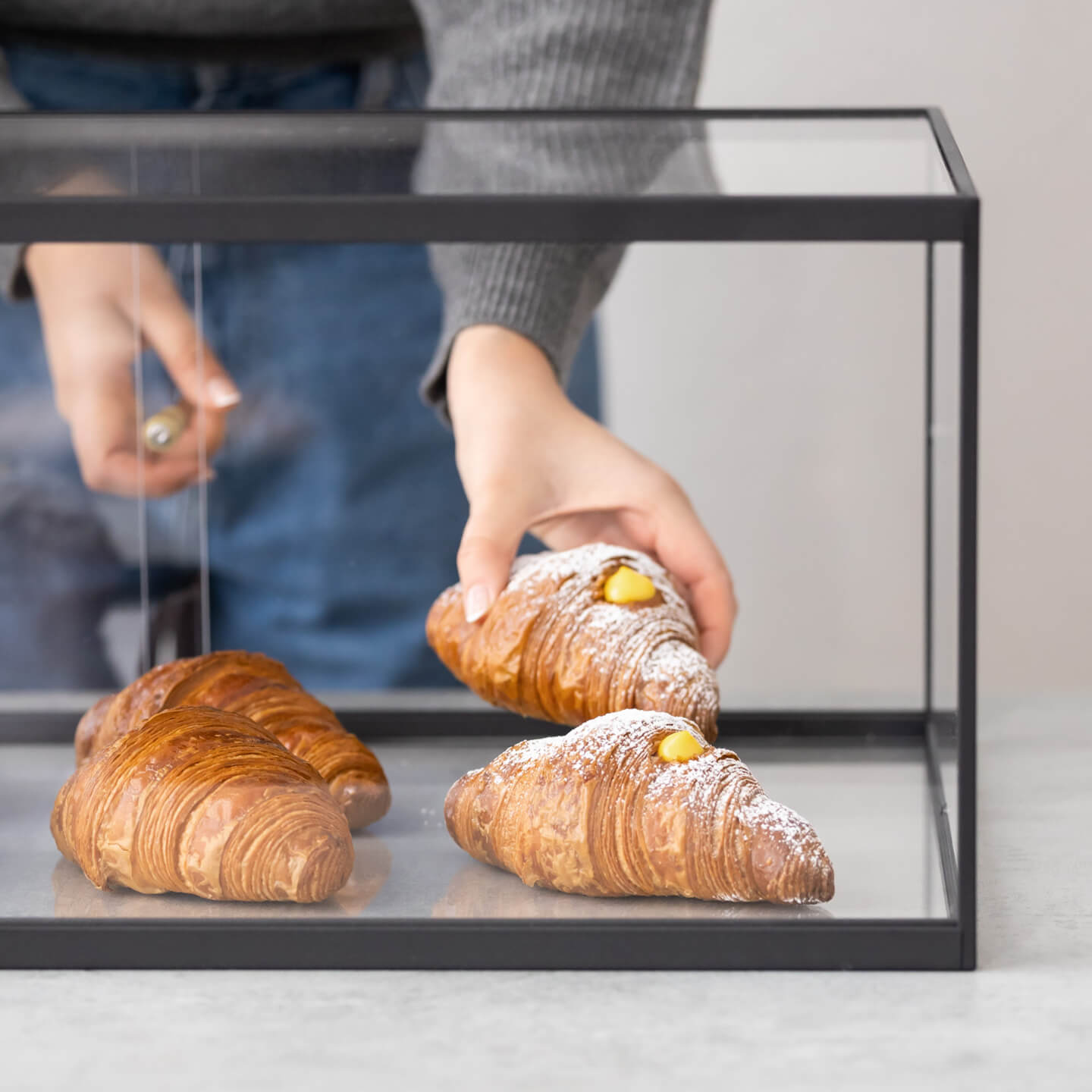 Bakery Display Case - Regular - George and Willy