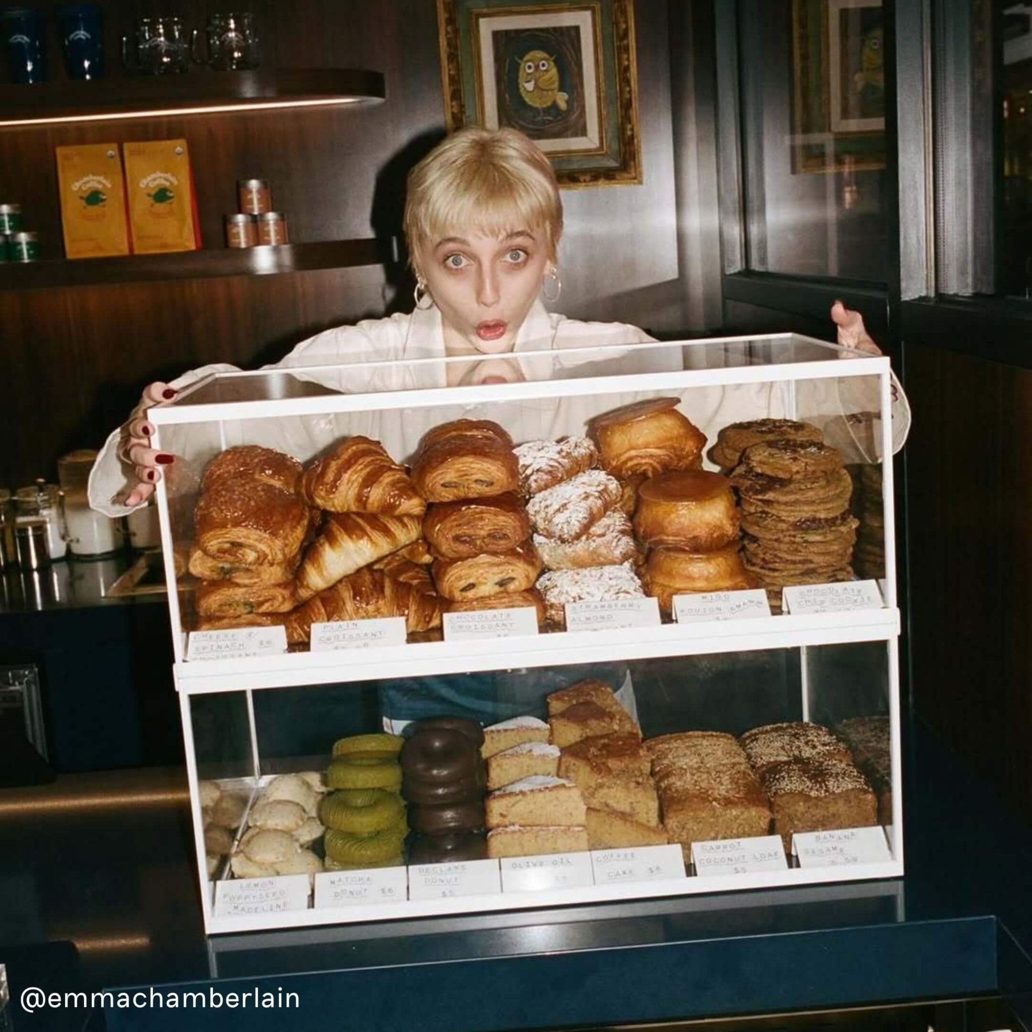 Bakery Display Case. - George and Willy